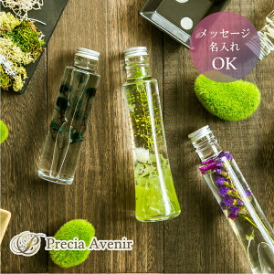 yzyMtgzyLOzꃁbZ?Wn[oEhPrecia AvenirhyvU[uh@hC[ AWg v[g a zj Vzj