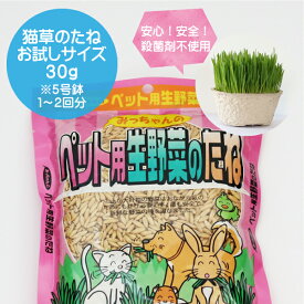 【高発芽率】【安心安全】【新鮮無農薬種子】猫草用のタネ（種）小分けして30gで発送【猫・犬・ウサギ・ハムスター・モルモット・小鳥用】【郵便発送で送料安し】簡易包装