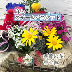 楽天市場 花 鉢植え 詰め合わせの通販