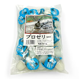 プロゼリー クワガタ カブトムシ 16g 50個 KBファーム製