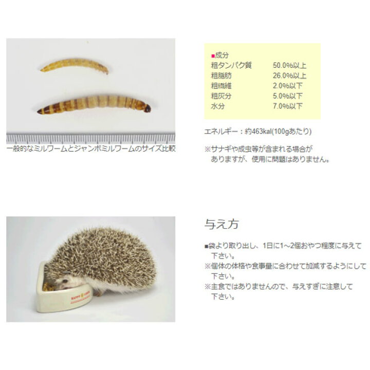 楽天市場 三晃商会 バグズスタイル ジャイアントミルワーム アクアアベニュー