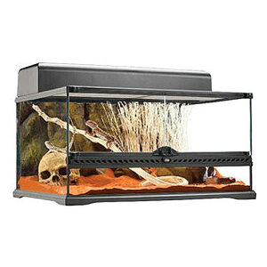 GEX エキゾテラ グラステラリウム 6030 ※他商品と同梱できません。