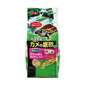 楽天市場 ヤドカリ 淡水の通販 楽天市場 ヤドカリ 淡水の通販