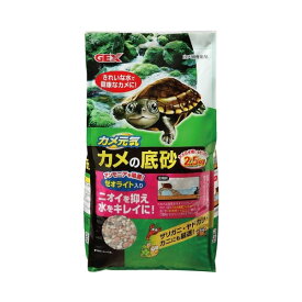 楽天市場 ヤドカリ 淡水の通販