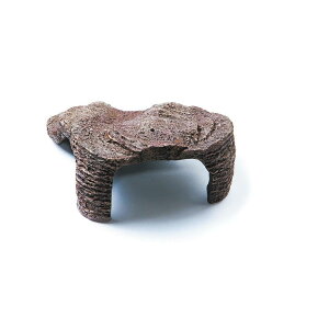 WFbNX@JC J̓ M-1@GEX