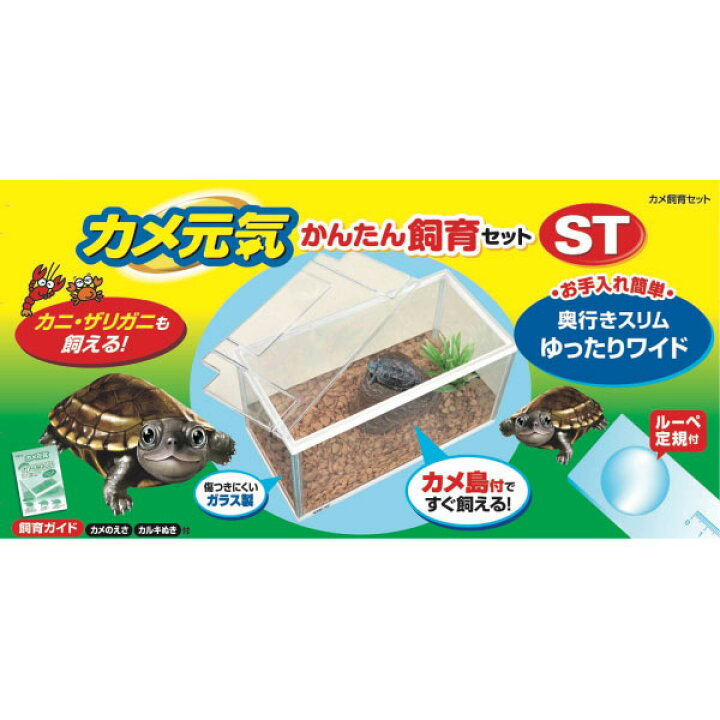 日本未発売 ジェックス カメ元気 かんたん飼育セットst Shipsctc Org