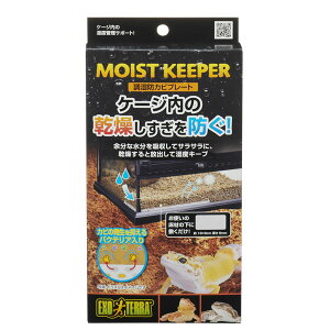 ySi|Cg5{zWFbNX@hJrv[g@GEX