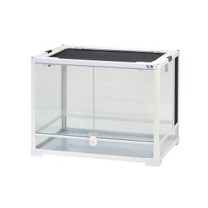 OW@peI@JmzCg@WH6045@傫J_uhA^Cv(ωJ)