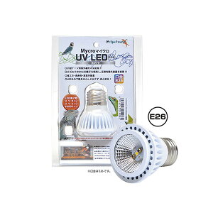 [XC@}CN UV LED E26 zCg@