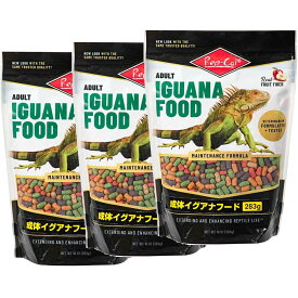 【全品ポイント5倍】《お買い得3個セット》 レップカルジャパン 成体イグアナフード 283g　ビバリア