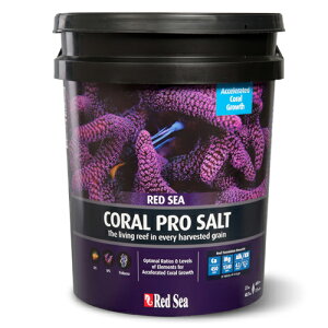 bhV[@R[v\g@22kg@iƂ̓͂ł܂B