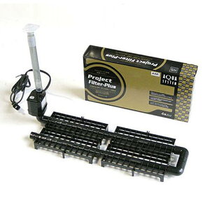 ANAVXe@vWFNgtB^[ vX 50hz