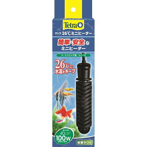 ySi|Cg5{zeg 26~jq[^[100W Jo[t