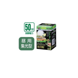 GEX�@�T���O���[ �o�X�L���O�X�|�b�g�����v50W�y���p�W���^�z