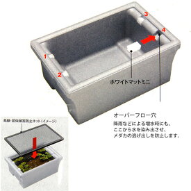 楽天市場 メダカ スチロールの通販