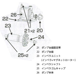 �J�~�n�^ �C���B���@��p�|���v