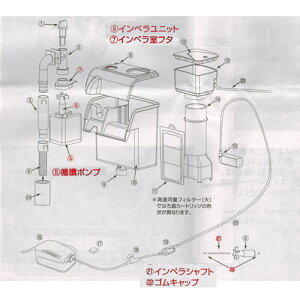 �J�~�n�^ �C���͓��@��@��p�z�|���v