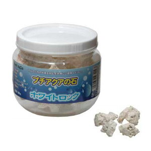 J~n^ v`ANA̐΁@zCgbN