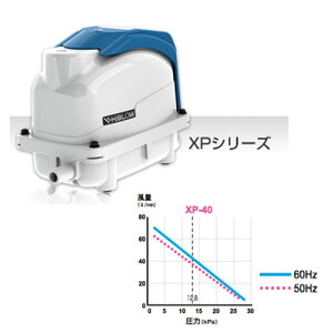 L[ nCu[iGA[|vj@XP-40