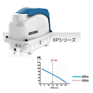 L[ nCu[iGA[|vj@XP-60