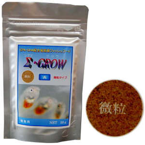 ǂ傤{B VO}EOE@^CvA@i50gj