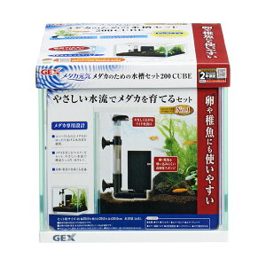 GEX _JC _Ĵ߂̐Zbg200CUBE