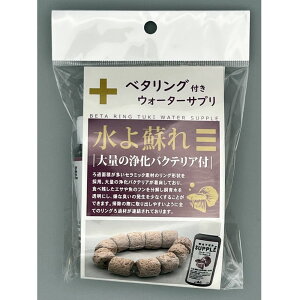 ANVY@x^OtEH[^[Tv@߂x^pOށ@oNeAt