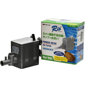 J~n^@IvX^[g@800@60hz