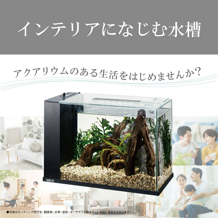 楽天市場】【要エントリー｜ポイント5倍】GEX アワーズ ブラック 