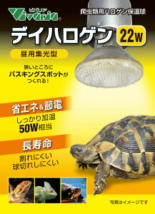 roA@fCnQ@22W@঒ޗpۉ pW^