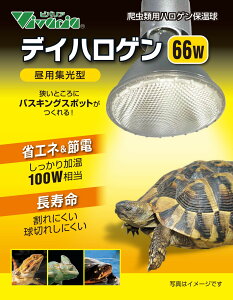 roA@fCnQ@66W@঒ޗpۉ pW^