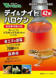 roA@fCiCgnQ@42W@঒ޗpۉ 錓pW^