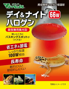 roA@fCiCgnQ@66W@঒ޗpۉ 錓pW^