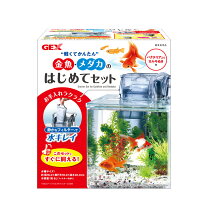 楽天市場】スターターセット（水槽・アクアリウム｜熱帯魚 