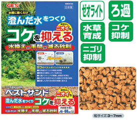 楽天市場 Gex ベストサンドの通販