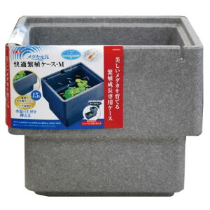 yʌzGEX@_JC KɐBP[X M@WFbNX