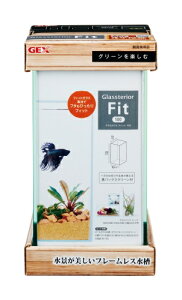 ジェックス グラステリアフィット100 FIT GEX