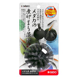 Xh[ _J̎Y܂葔ijzeC@S-5807