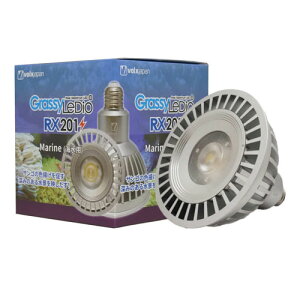 {NXWp ObV[fBI RX201@}