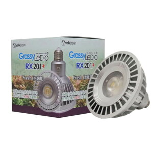 {NXWp ObV[fBI RX201@tbV