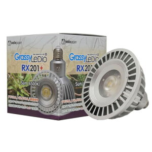 {NXWp ObV[fBI RX201@T