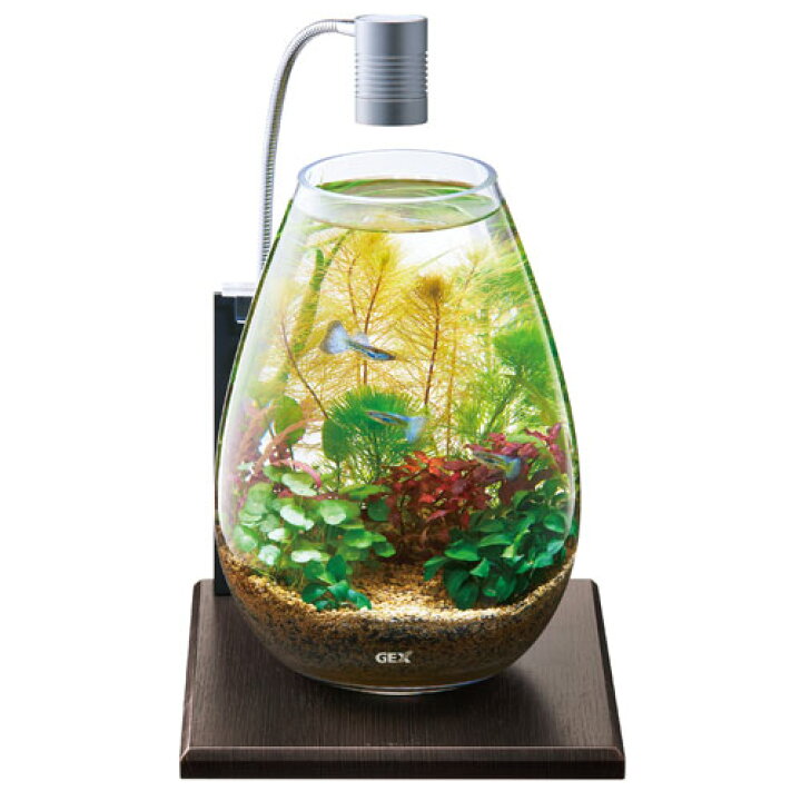 完全送料無料 ジェックス グラスベース メープル0 コンパクト水槽用 木目専用プレート ライトスタンド付 メープル Riosmauricio Com