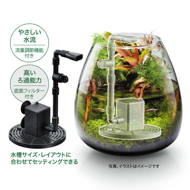 楽天市場 ジェックス ピコロカ コンパクトで隠せる小型水槽専用ろ過フィルター Gex アクアアベニュー 楽天市場 ジェックス ピコロカ コンパクトで隠せる小型水槽専用ろ過フィルター Gex アクアアベニュー