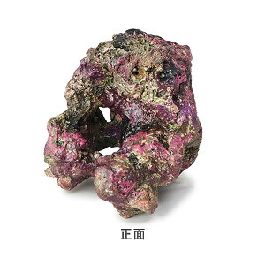 レイアウト用品 ライブロック 水槽の人気商品 通販 価格比較 価格 Com