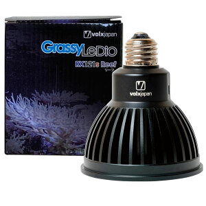 Grassy Ledioの通販 価格比較 価格 Com