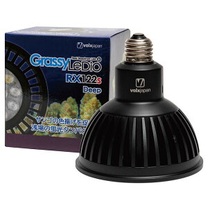 {NX@ObV[EfBI RX122s@fB[v@ubN@Grassy LeDio Deep