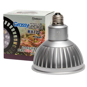 {NX@ObV[EfBI RX122s@tbV@Vo[@Grassy LeDio Fresh