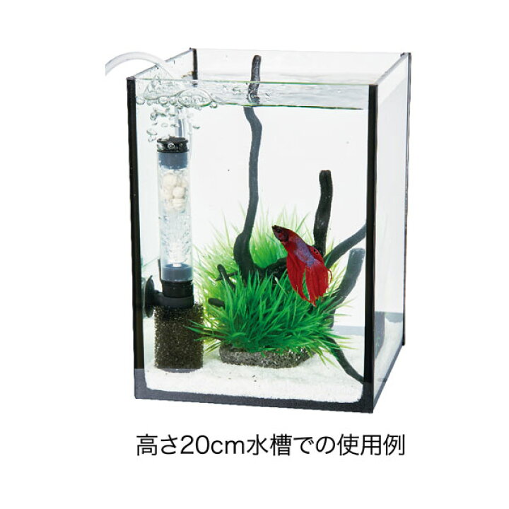 楽天市場 コトブキ New バイオミニフィルター 小型水槽用 ベタ メダカ アクアアベニュー
