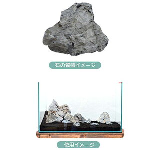 J~n^ ؐ΁ijCAEgZbg