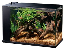 楽天市場 オールインワン 熱帯魚 アクアリウム ペット ペットグッズ の通販